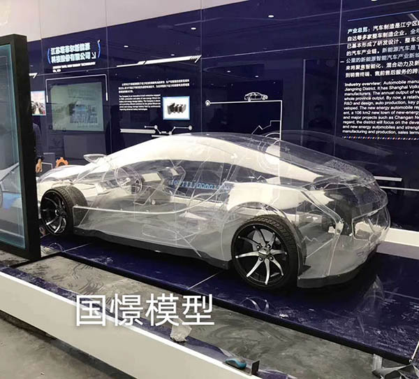 漳浦县透明车模型